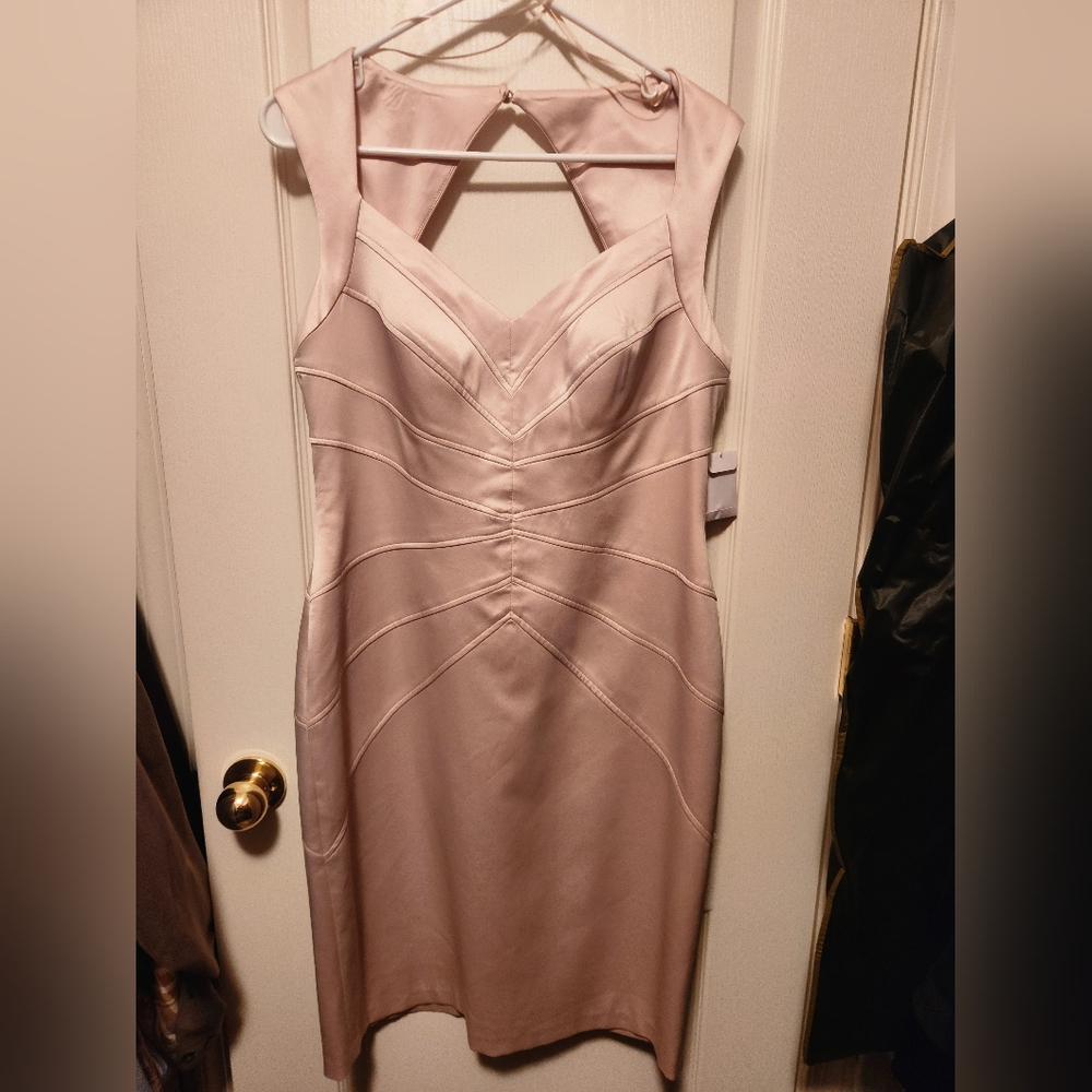 Jessica Simpson Blush Backless Dress Size 12